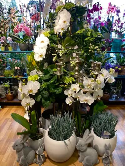 GEBOV Flowers
