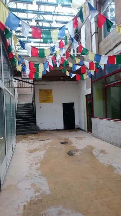 М. П. Електроникс ООД