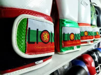 Магазин за бойни изкуства и хранителни добавки