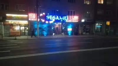 SESAME Pette Kyosheta Sofia