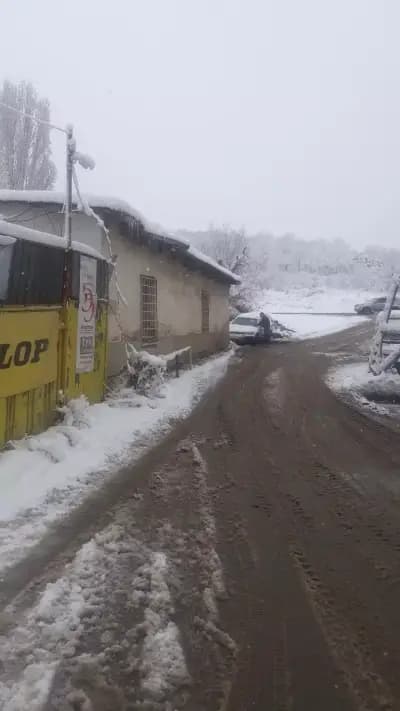 Унисек автосервиз