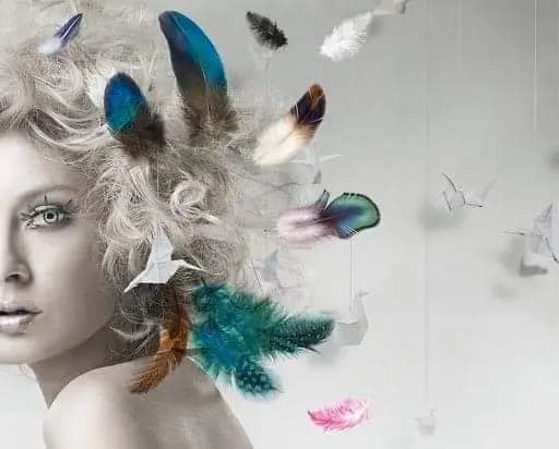 Salon Effect