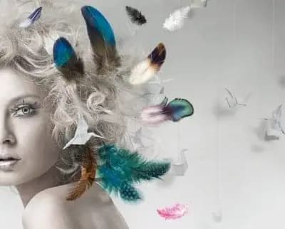 Salon Effect