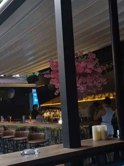 Skinny Bar