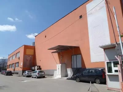 ЕЛИАЗ ООД