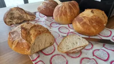 Bakery 'Earthly Gift'/Хлебопекарница 'Земен Дар'