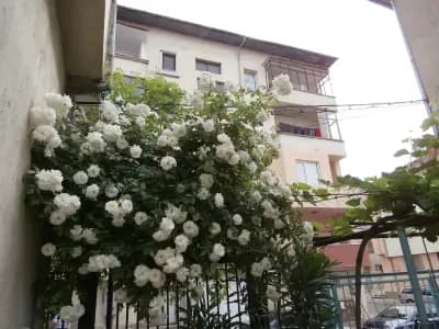 Apartments in House Silent Nature