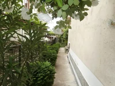 Apartments in House Silent Nature