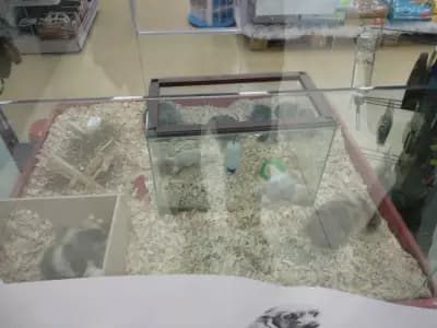 Зоомагазин Zoo Center