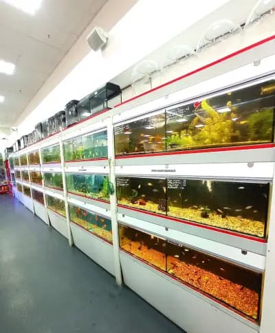 Зоомагазин ZOO CENTER Младост