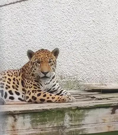 Зоологическа градина на София