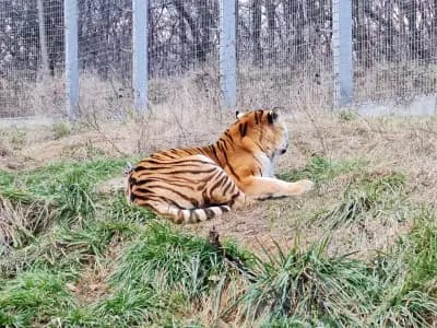 Зоологическа градина на София