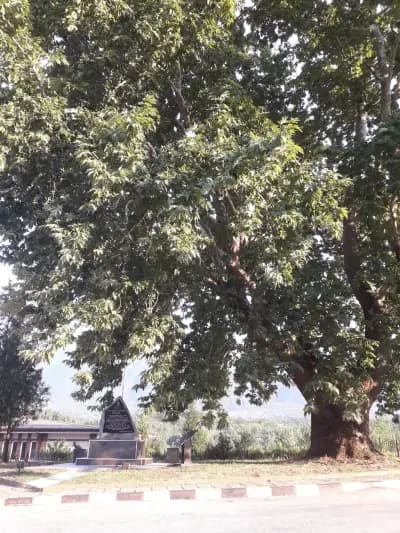ГКПП „Златарево“