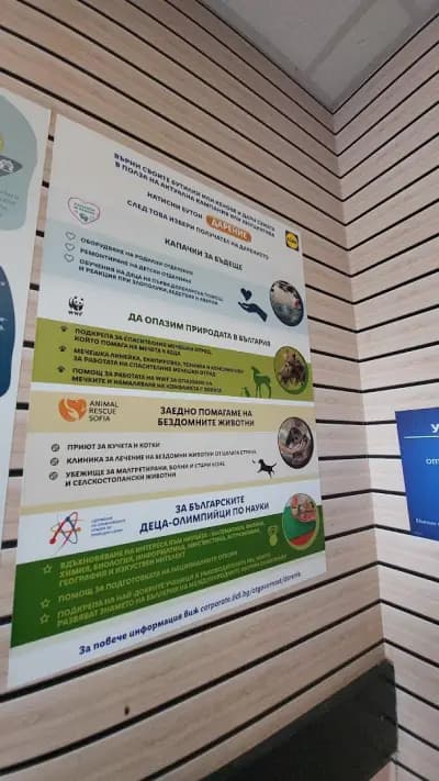 Лидл