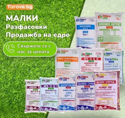 Торове БГ