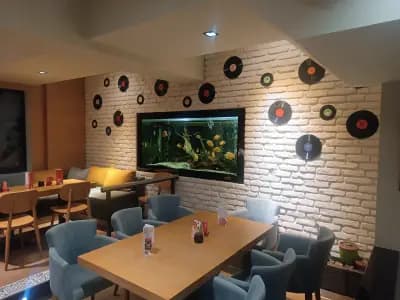 Live club Пловдив в к-с ДАИКС