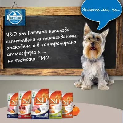Pet Stop - Най-доброто от нас на трапезата за тях