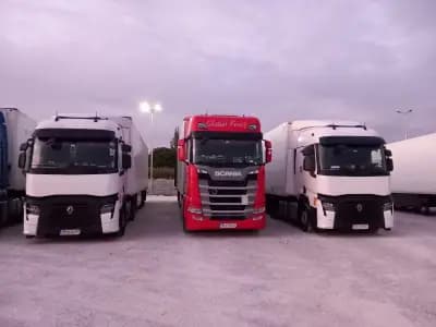 Global Fruit BG LTD