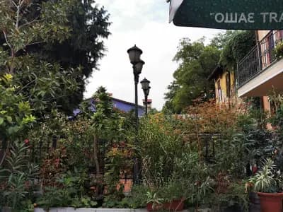 Хотел Алафрангите