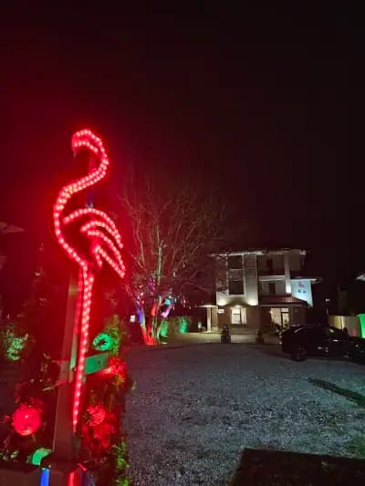 Flamingo Hotel