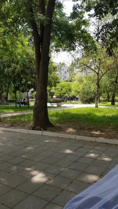 Народно читалище „Христо Смирненски“