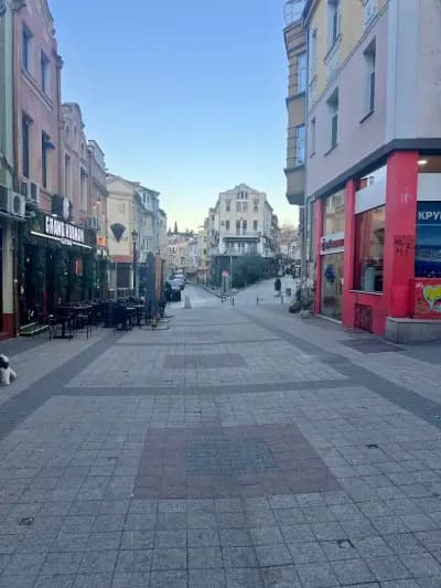 Алианц Застраховане