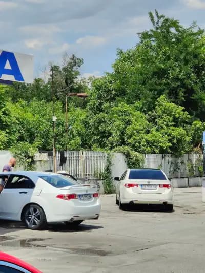 Insa Oil