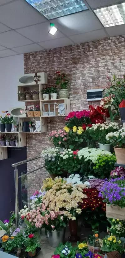 Цветята на Вазов