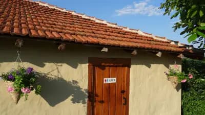 Alexandrovo Camping