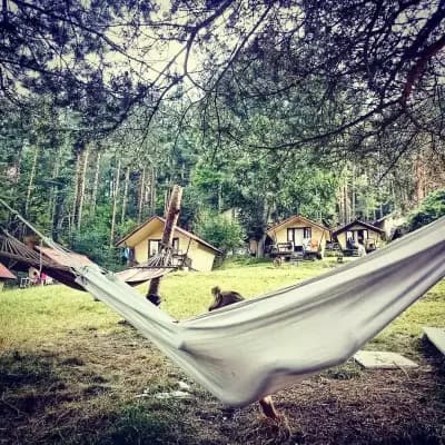 На зелено +