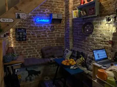 Barber&Cat Bar