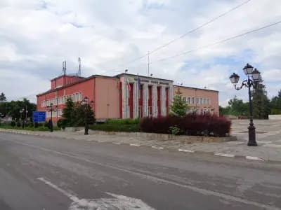 Община Борован