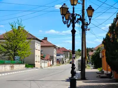 Община Борован