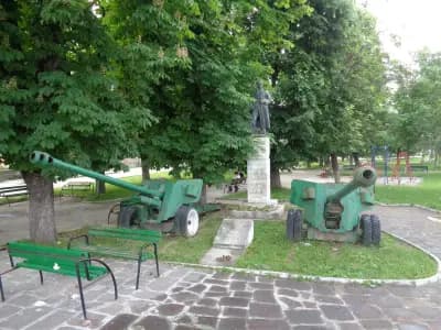 Община Борован