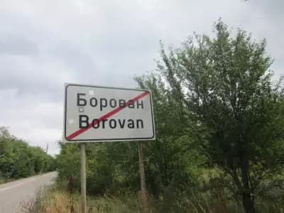 Община Борован