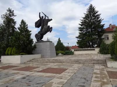 Община Борован