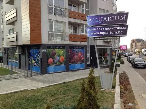 Аквариум БГ