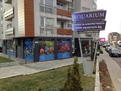 Аквариум БГ