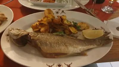 Стария чинар Черно море