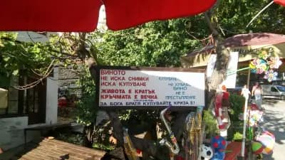 Guest House Biser