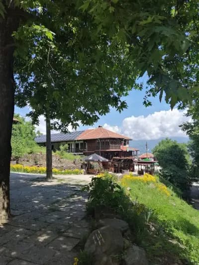 Complex Dinastia