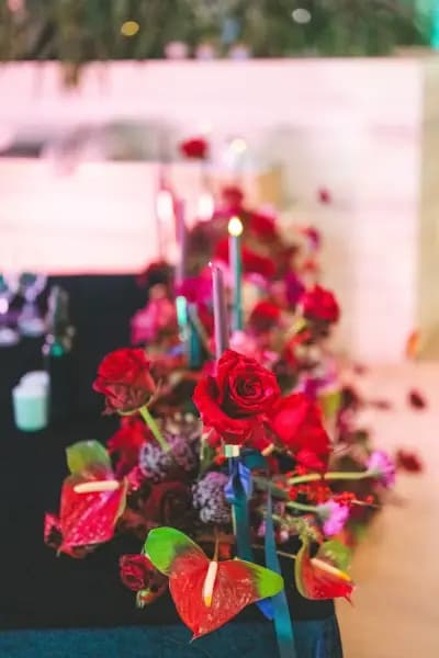 Сватбена агенция Алегрия/Alegria Wedding Agency