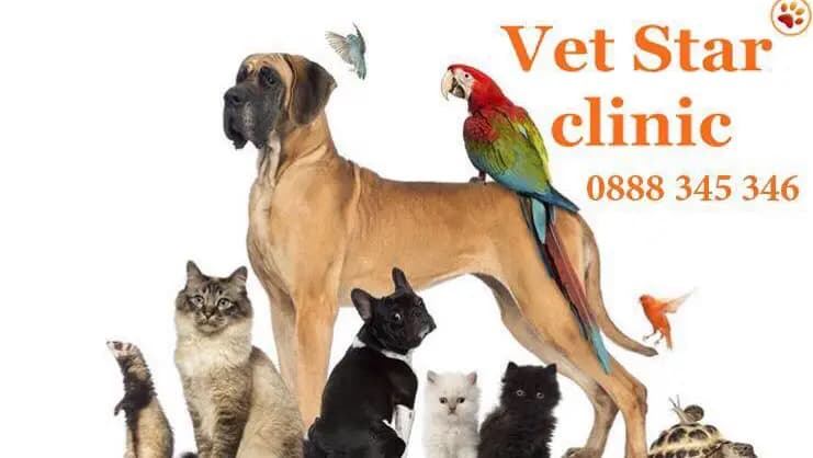 Vet Star Clinic