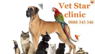 Vet Star Clinic