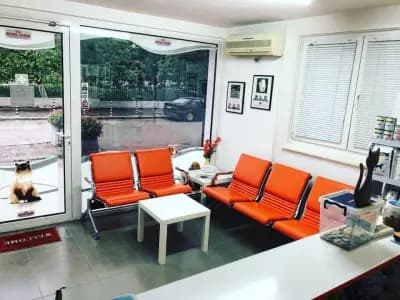 Vet Star Clinic