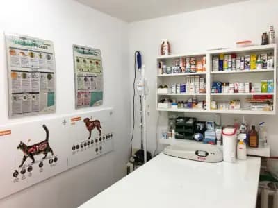 Vet Star Clinic