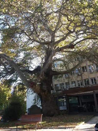 Къща за гости Аморе