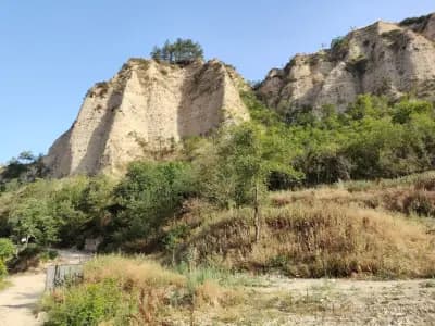 Къща за гости Бял Маргарит