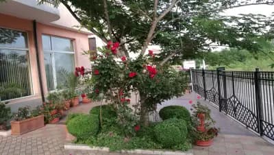 Family Hotel Mimosa