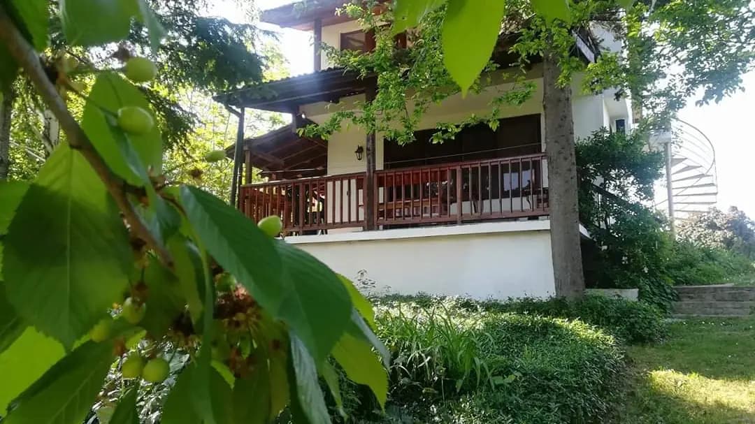 Вила Алива